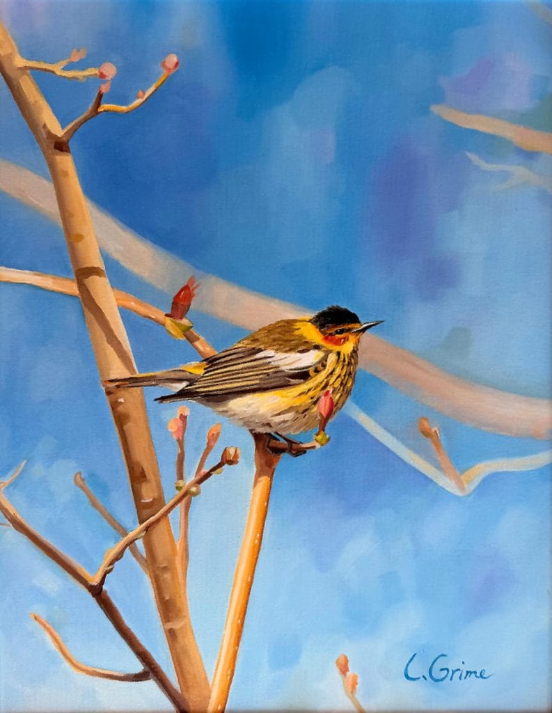 Laura Grime Painting – Easter Warbler